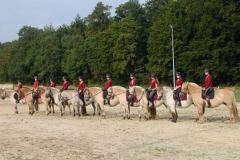 Zuchtstutenquadrille bei unserem 60 jährigen Jubiläum