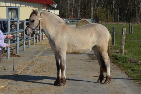 WhatsApp Image 2026-03-03 at 14.45.40