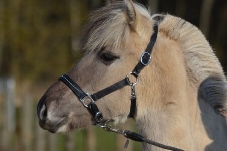 WhatsApp Image 2026-03-03 at 20.50.02